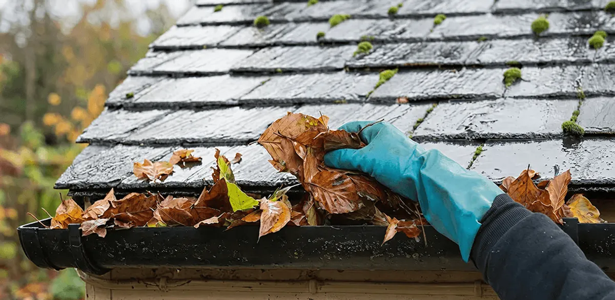 Gutter cleaning technician clearing wet leaves from roof gutters in Bellevue, WA